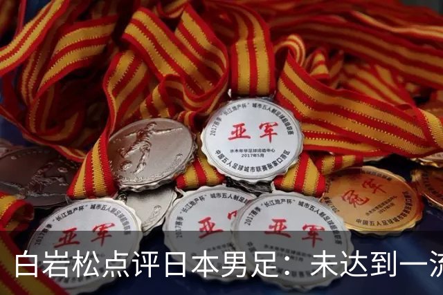 白岩松点评日本男足：未达到一流强队标准，仍需克服对荷兰的恐惧